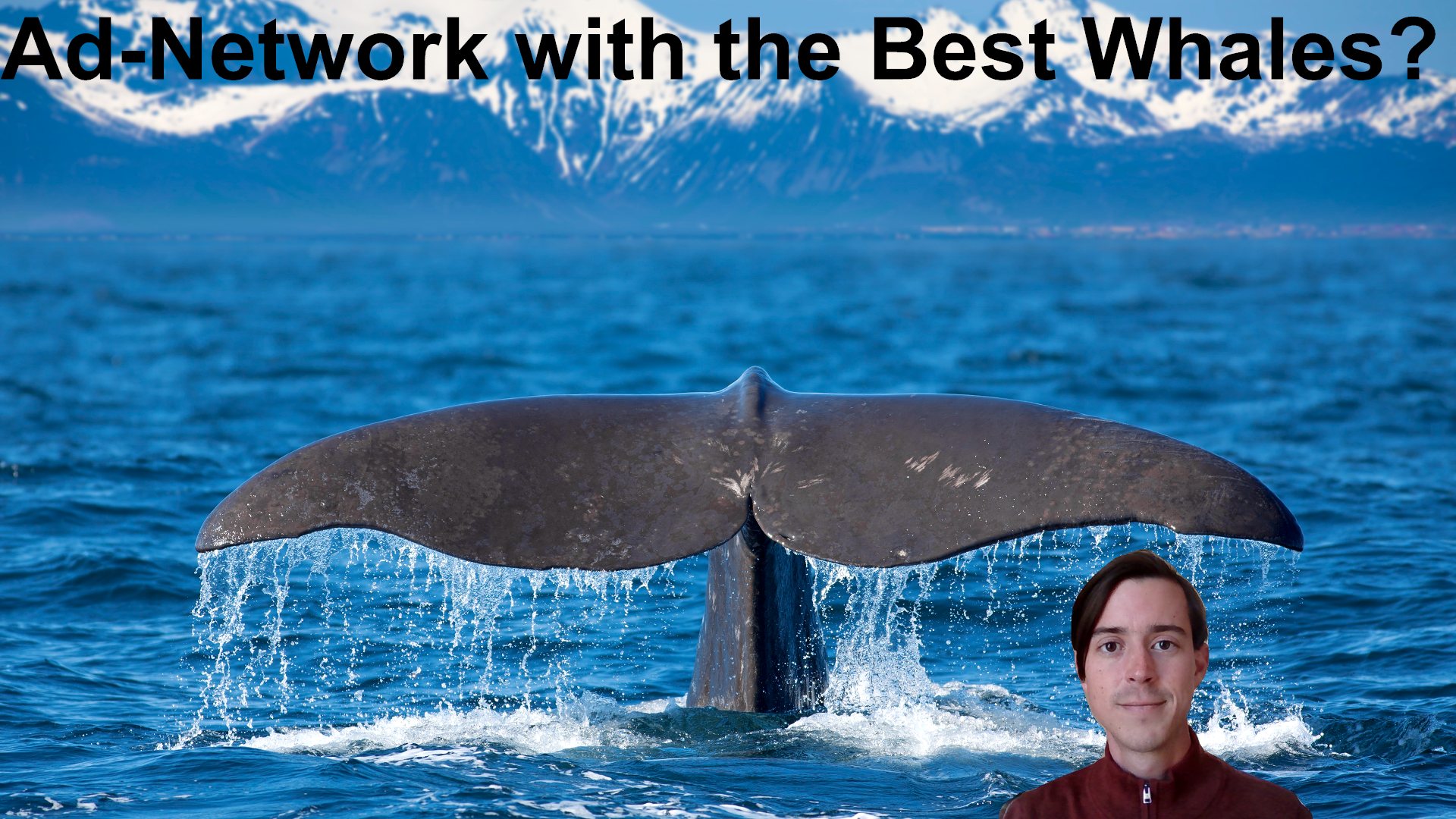 Which Ad Network Has the Best Whales?